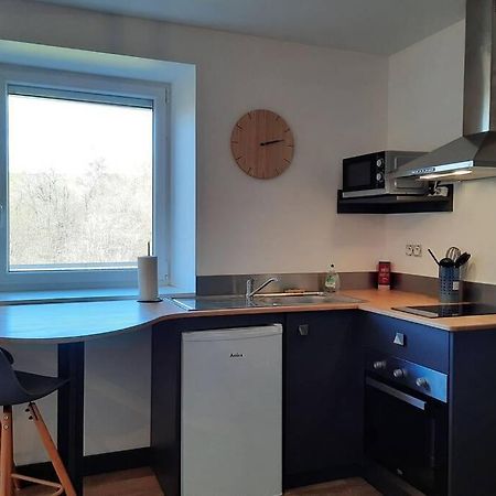 Studio Avec Vue Sur La Vezere Uzerche Eksteriør billede